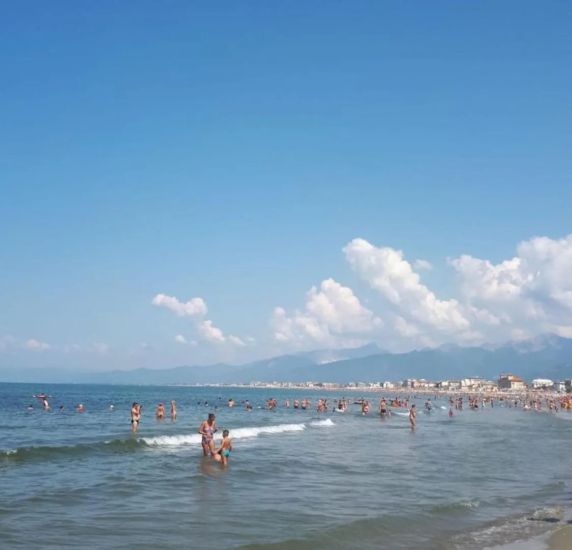 The House Of Citrus - Amazing Country House Near Viareggio Beach And Lucca Stiava