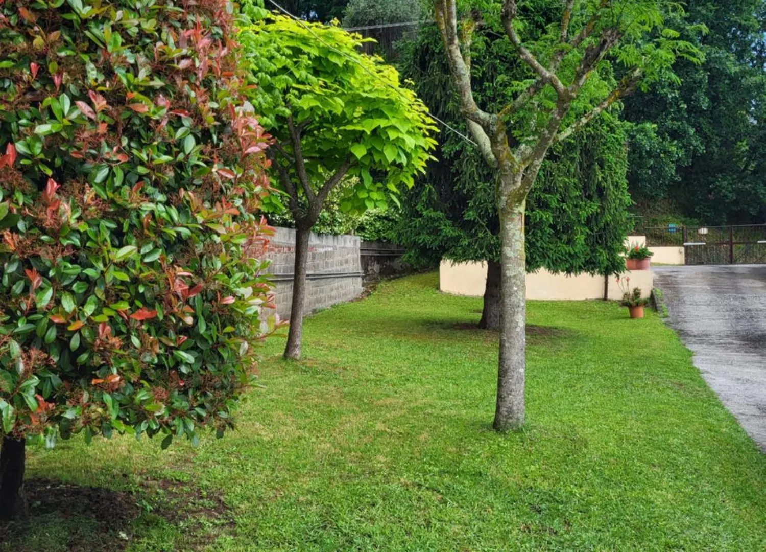 The House Of Citrus - Amazing Country House Near Viareggio Beach And Lucca Stiava Holiday home