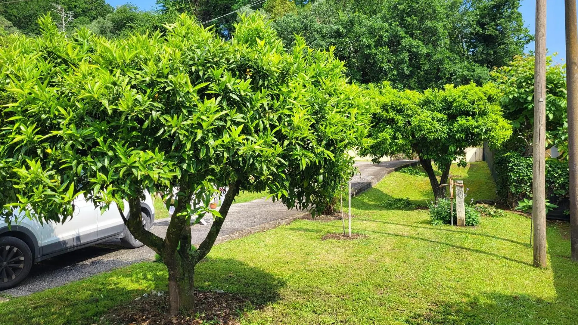 Ferienhaus The House Of Citrus - Amazing Country House Near Viareggio Beach And Lucca Stiava
