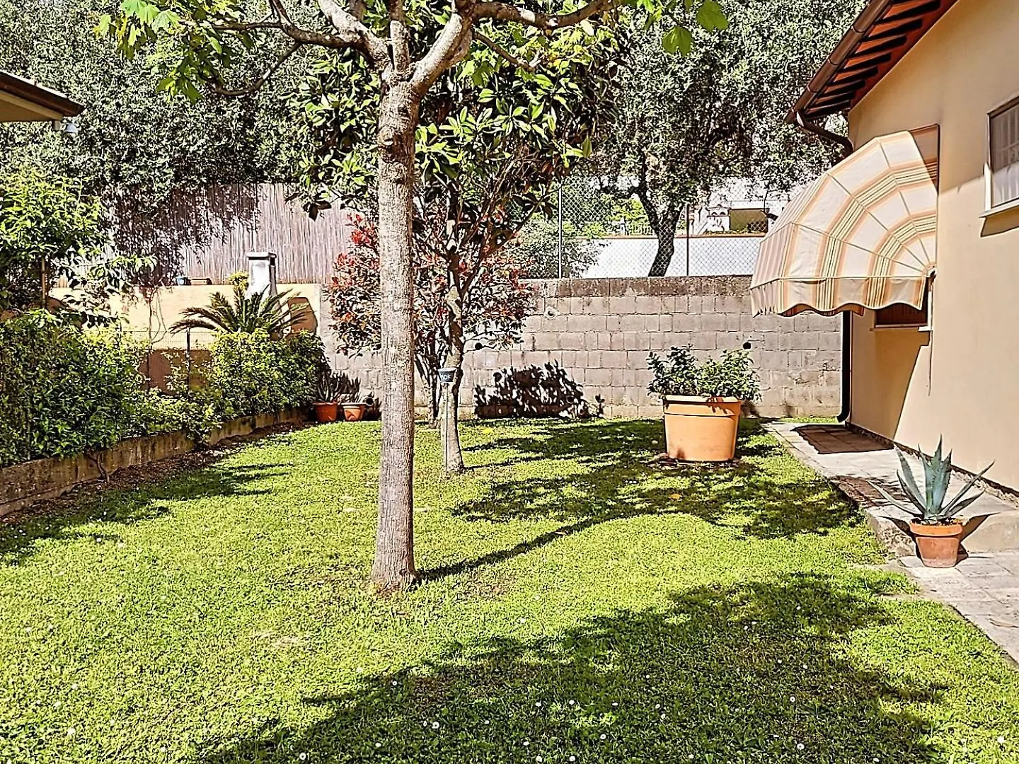 The House Of Citrus - Amazing Country House Near Viareggio Beach And Lucca Stiava