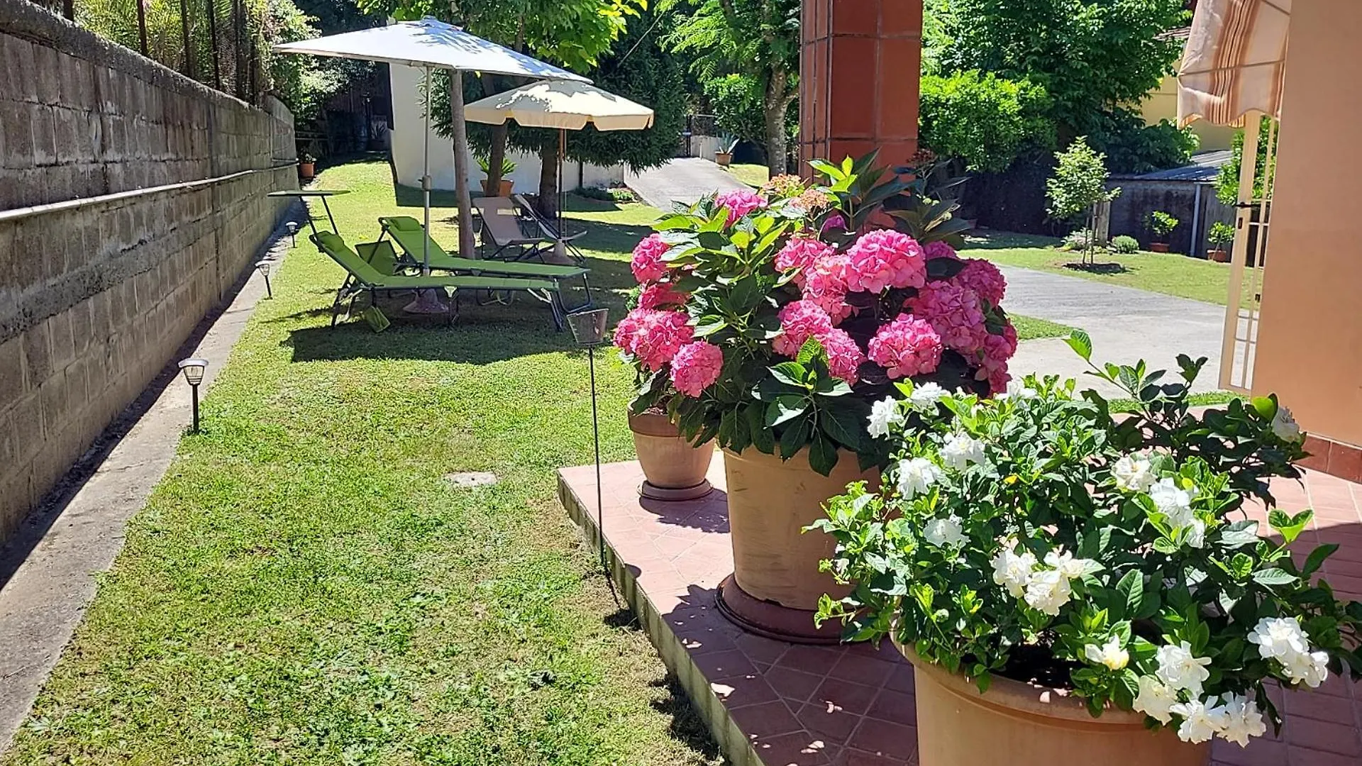 Vakantiehuis The House Of Citrus - Amazing Country House Near Viareggio Beach And Lucca Stiava