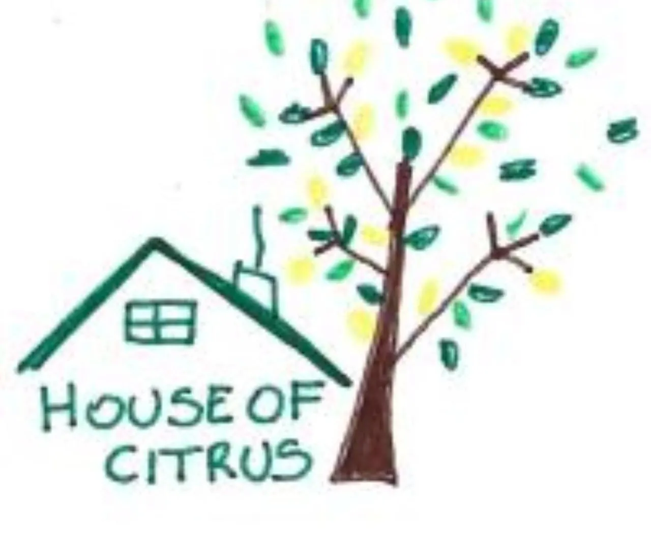 Vakantiehuis The House Of Citrus - Amazing Country House Near Viareggio Beach And Lucca Stiava Italië